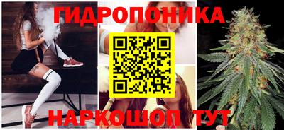 ГАЛЛЮЦИНОГЕННЫЕ ГРИБЫ Дубна