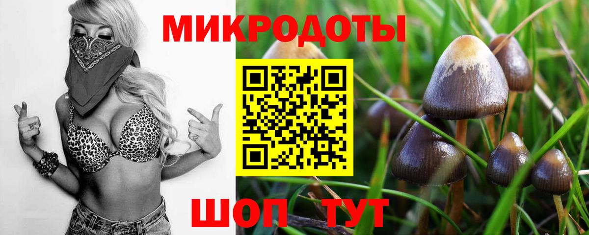Лянтор  Галлюциногенные грибы GOLDEN TEACHER  Вход с VPN 